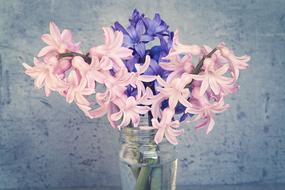 beautiful flowers drawing