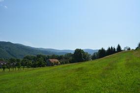 Village Panorama Grass