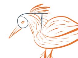 Funny drawing of a bird