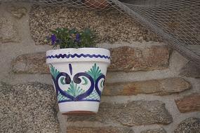 Flower Pot Flowers