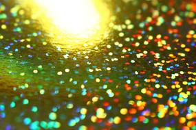 bright flowers in a sunbeam