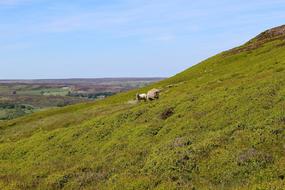 Yorkshire Moors in England