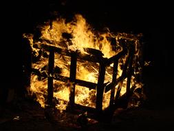Box Wood Fire