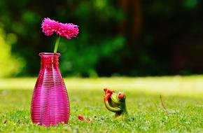 Vase Flower Frog