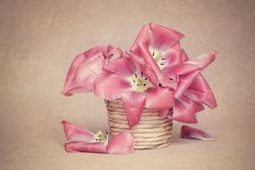pink buds in a basket