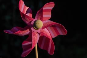 colorful wind toy