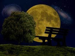 Moon Star Universe