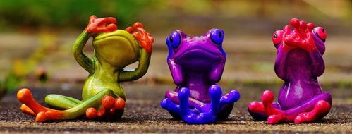 Frogs Not See Hear Do