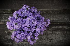 Arrangement Blue Flowers Flower