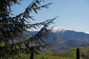 beautiful view of the christmas tree and the mountains