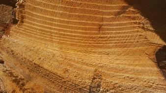 piece of wood with lines