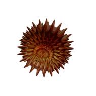 fractal digiart red hedgehog