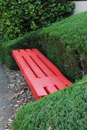red bench sheltered in the bushes