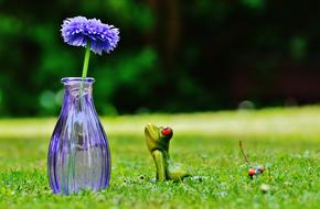 Vase Flower Frog