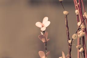 Flower Artificial Beautiful