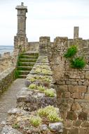 Wall Embattlement Weeds