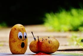 miniature death of a potato