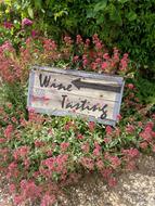 old plaque on flowers