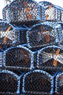 cages for catching crabs