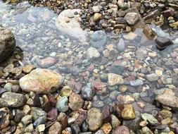 puddle of water on a rocky beach
