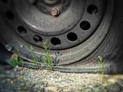 The Wreck Of Tire New Life Punctured Wheel