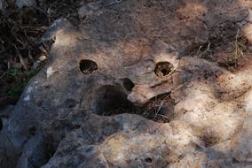 Rock Stone Face