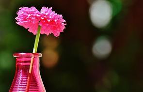 Vase Glass Colorful