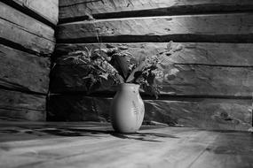 Lily Of The Valley Black And White