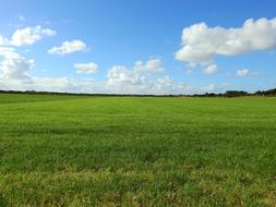 Meadow Sky Cloud