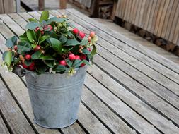 Flowers Table Wood