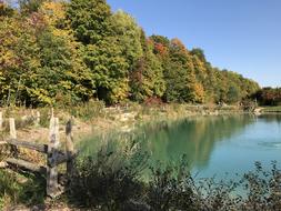 autumn forest by the pond in October