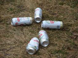 Beer Cans Litter