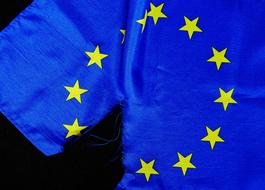 Breaking Point Euro Flag European