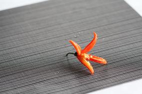 Thai Chilli Ingredient Hot