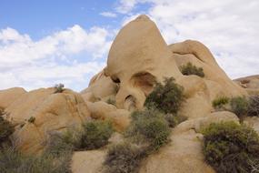 Skull Rock Usa Stones
