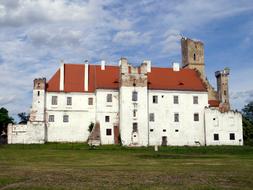 old forgotten castle in a field