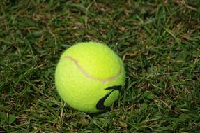 Tennis Ball Game