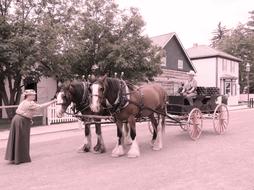 Horse Drawn Carriage Pioneer Wagon