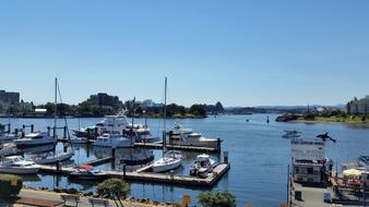 view of the pier with the yachts