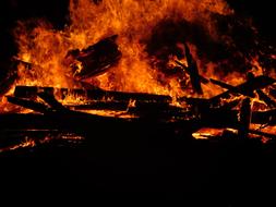 burning logs in orange fire
