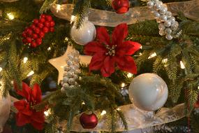Christmas Tree Ornaments