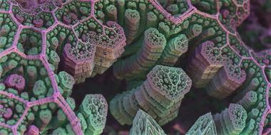 close up color spores