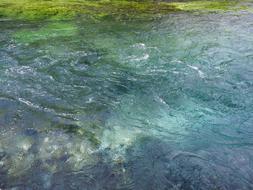 clear cold water of the lake