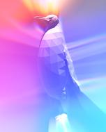 penguin polar cold pride standing