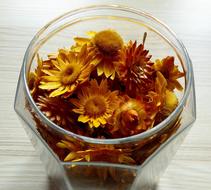 flowers in a glass vase