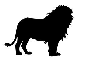 shadow lion silhouette