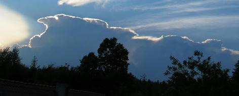 Silhouettes of trees against a storm cloud