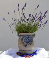 flowers in a beautiful vase