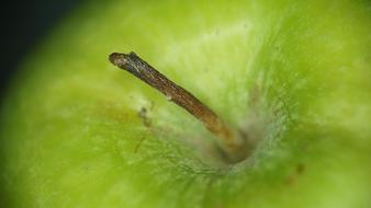 Green Apple