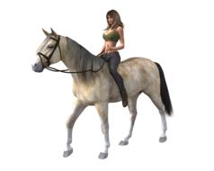 woman horse ride equestrian